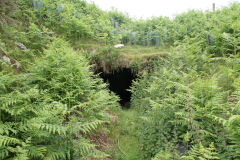 
Hills Tramroad to Llanfoist, Tramroad tunnel from East, June 2009